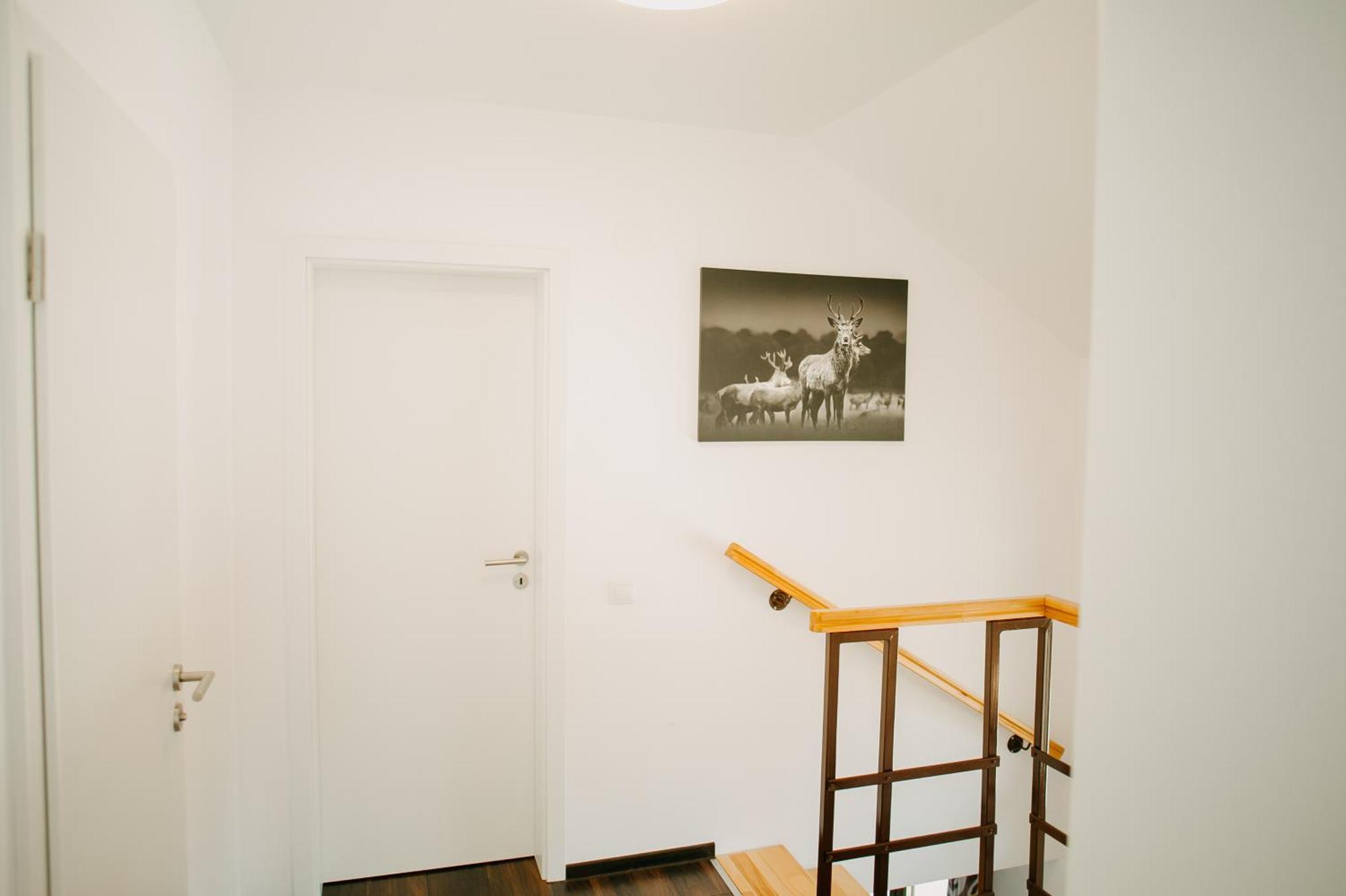 Cabana Berner Statiunea Mogosa Baia-Sprie Exteriör bild