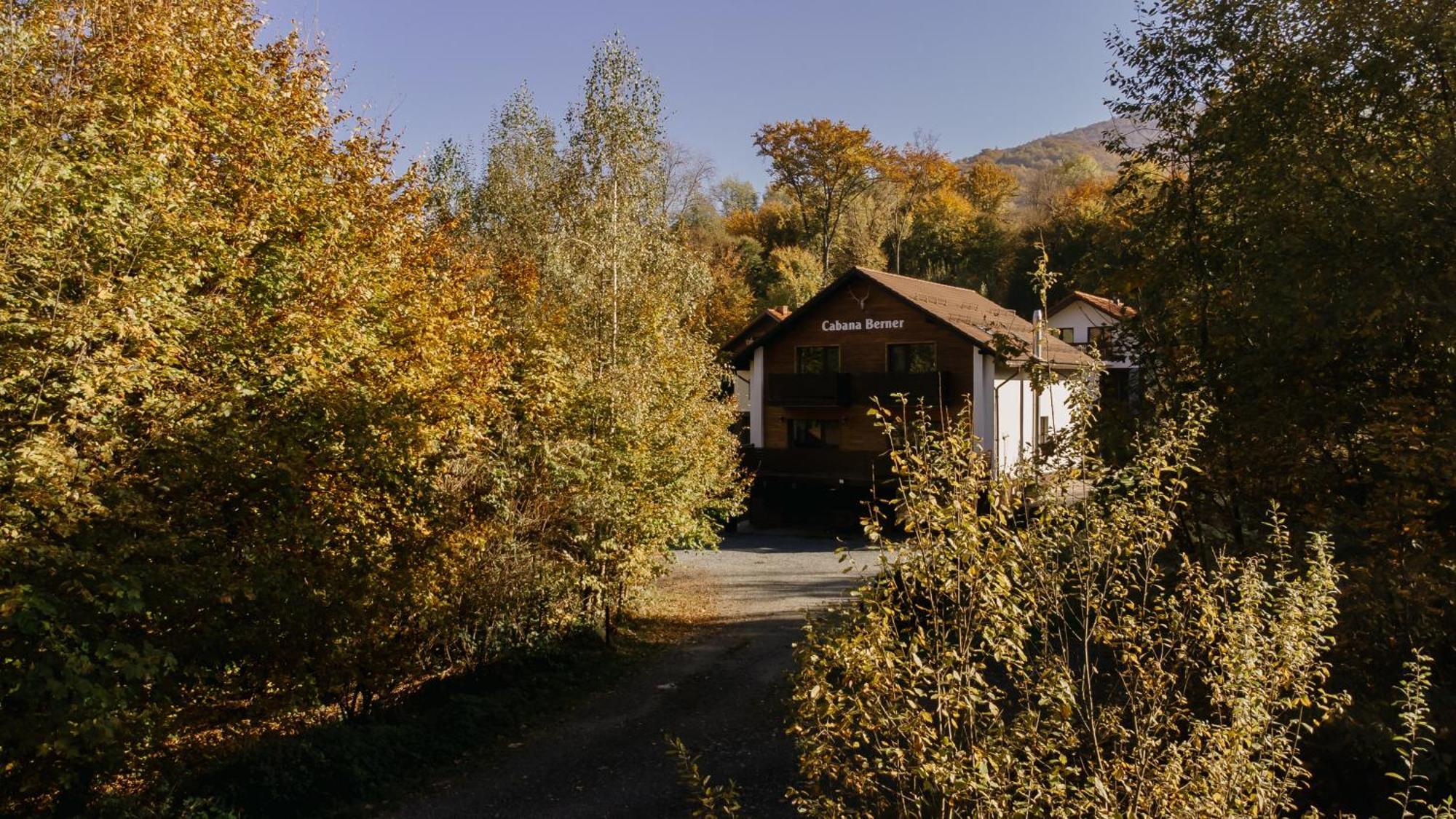 Cabana Berner Statiunea Mogosa Baia-Sprie Exteriör bild